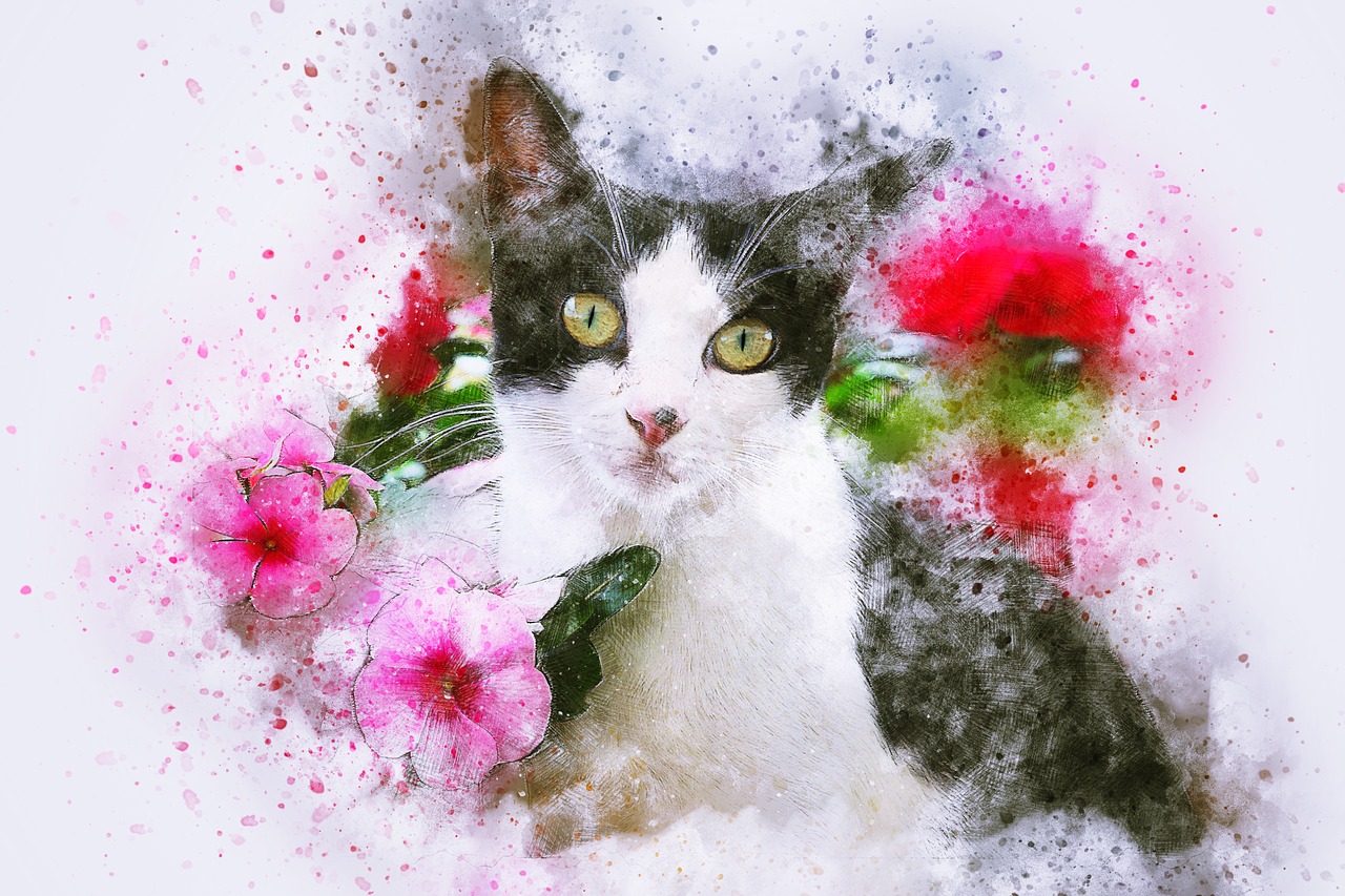 cat  animal  art free photo