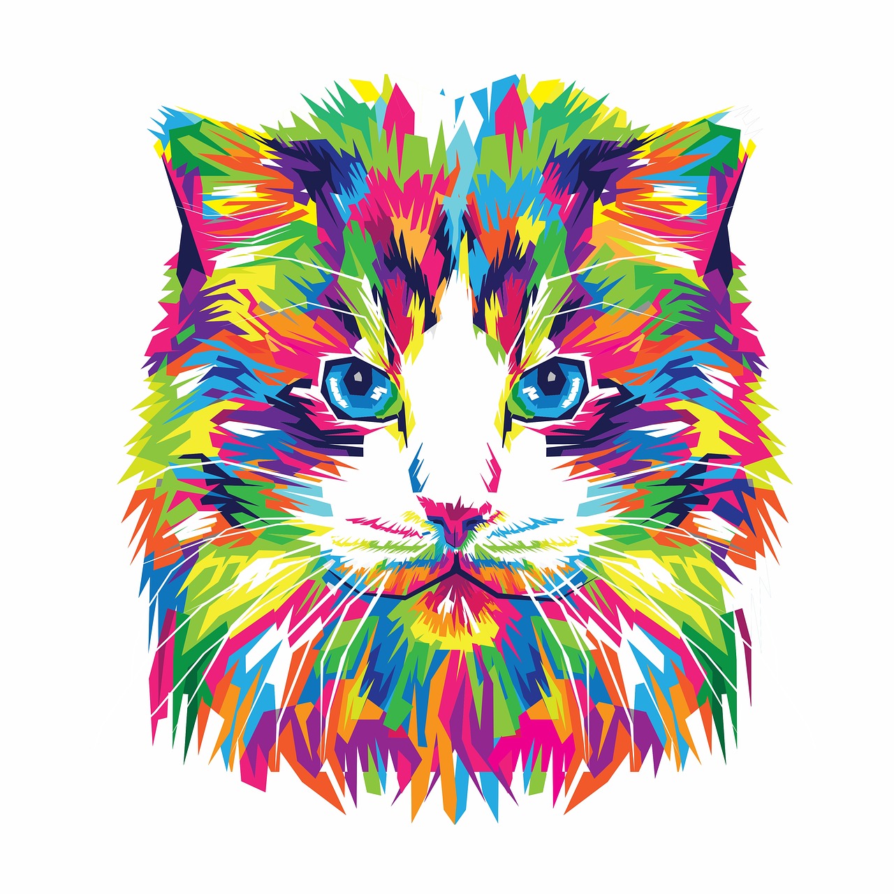 cat  cat vector  vector illustration free photo