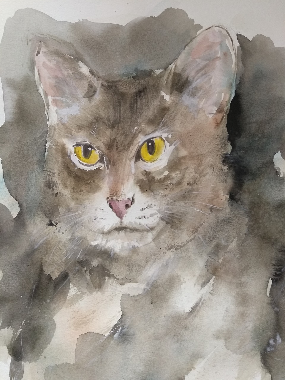 cat  watercolor  art free photo