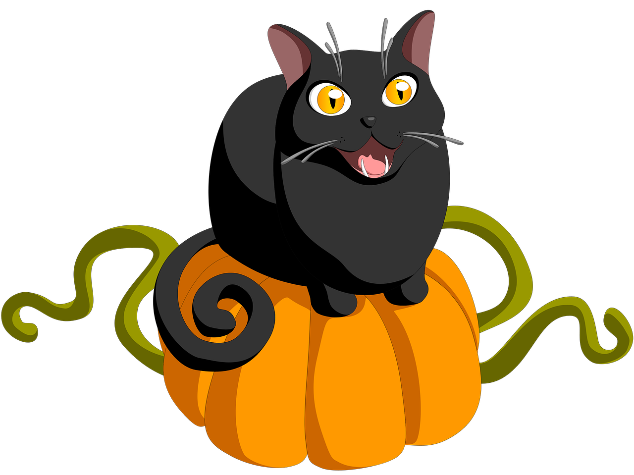 cat  pumpkin  halloween free photo