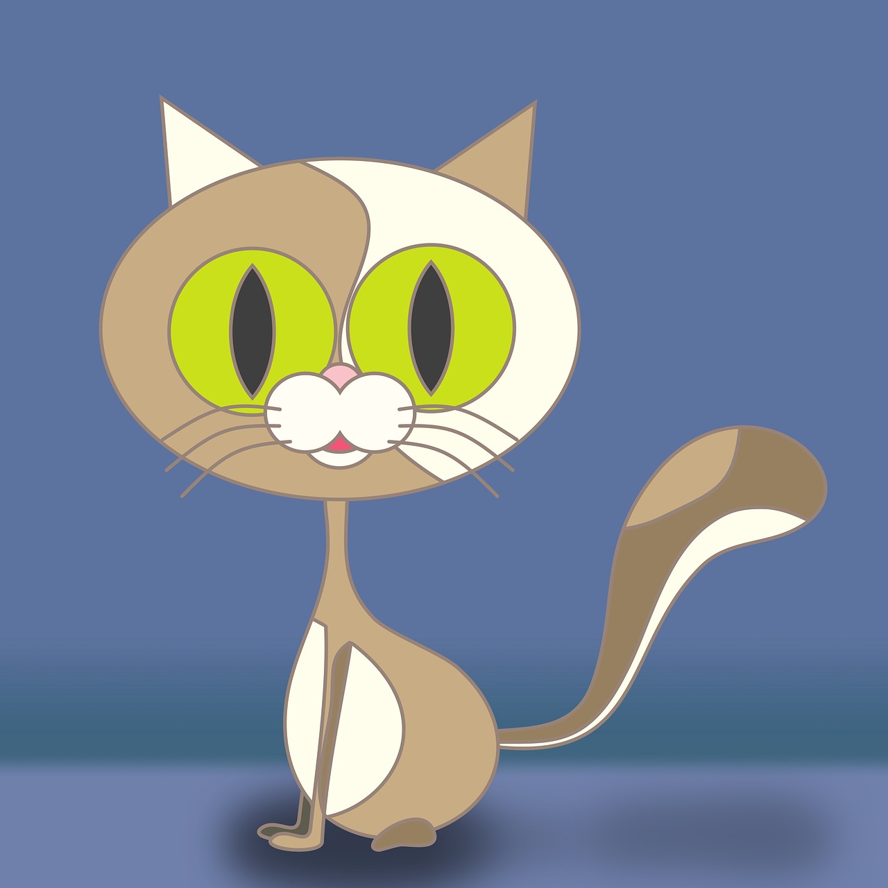 cat  pet  vector drawing free photo