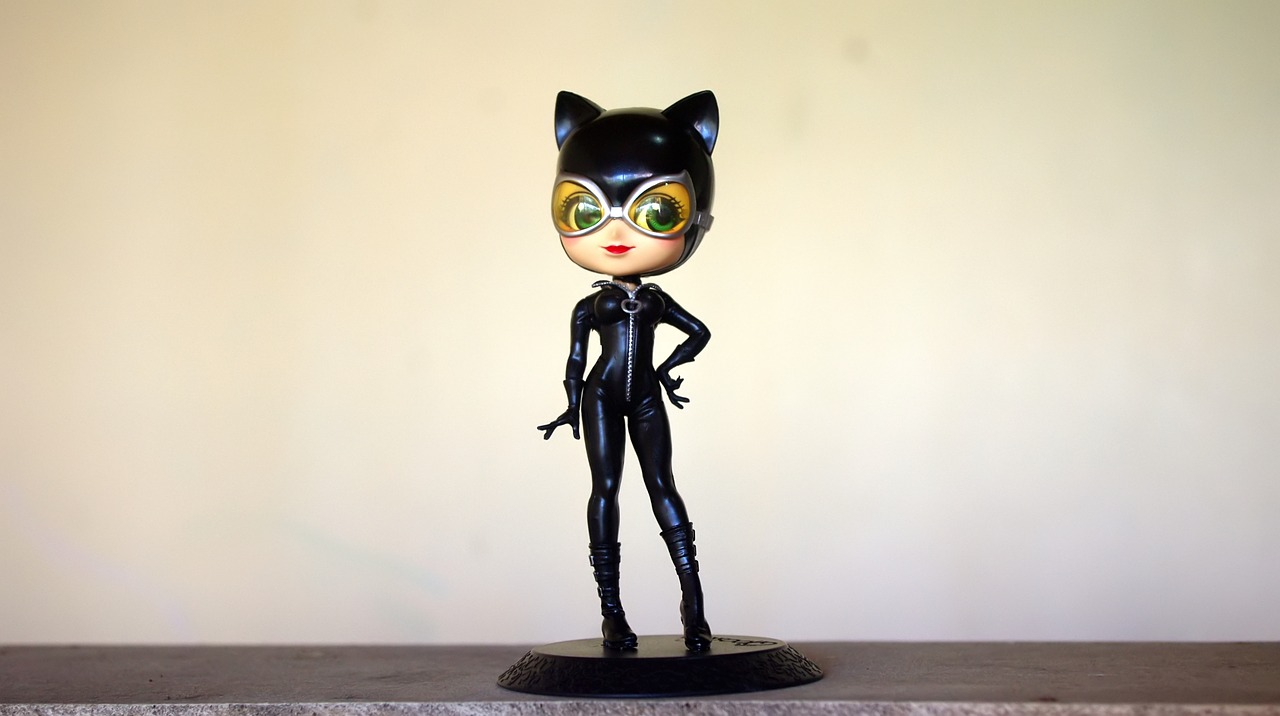 cat  woman  dc free photo