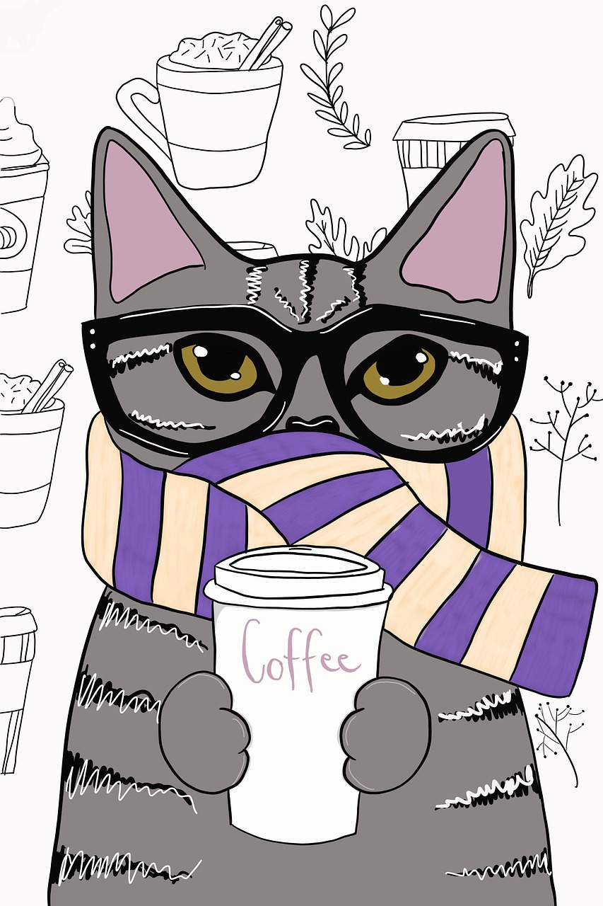 cat  kitten  coffee free photo