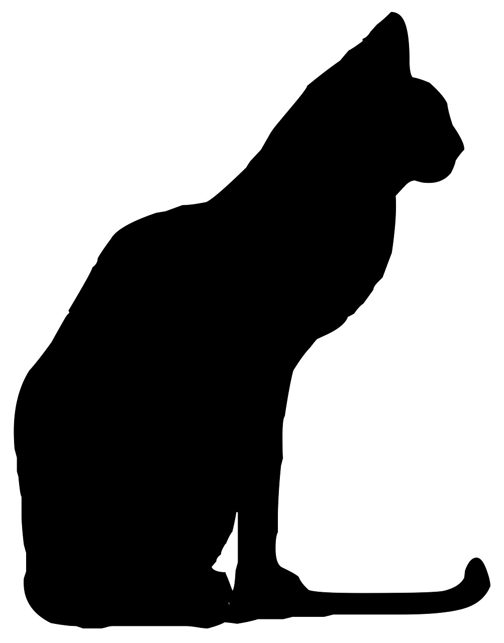 cat animal silhouette free photo