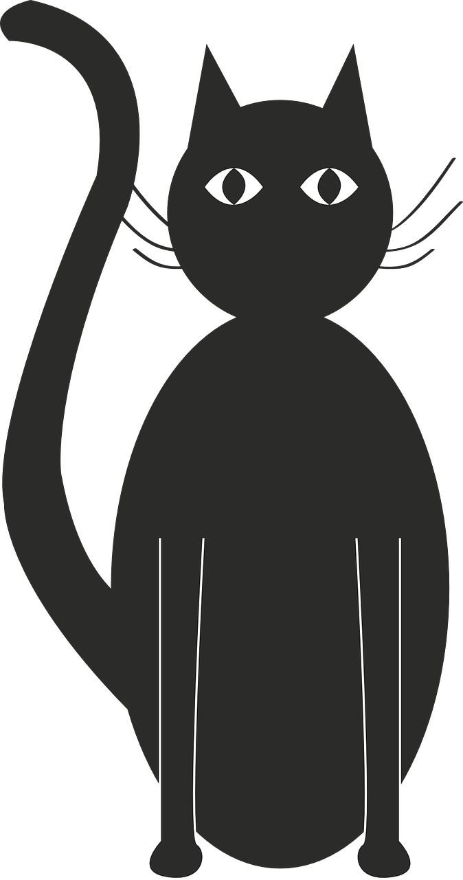 cat black silhouette free photo