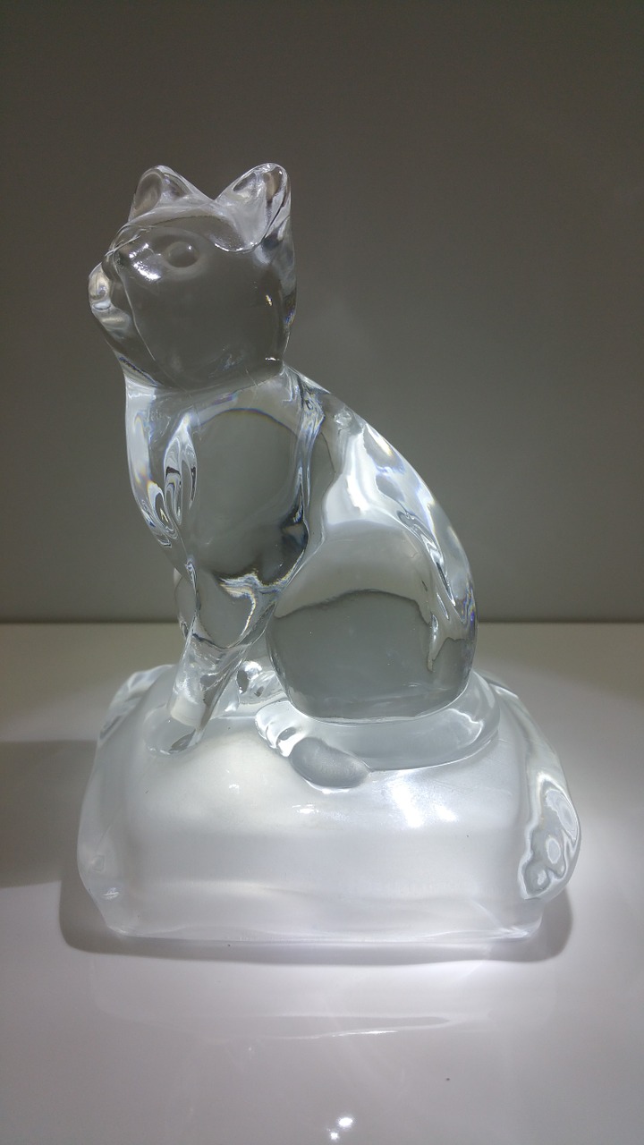 cat glass crystal free photo