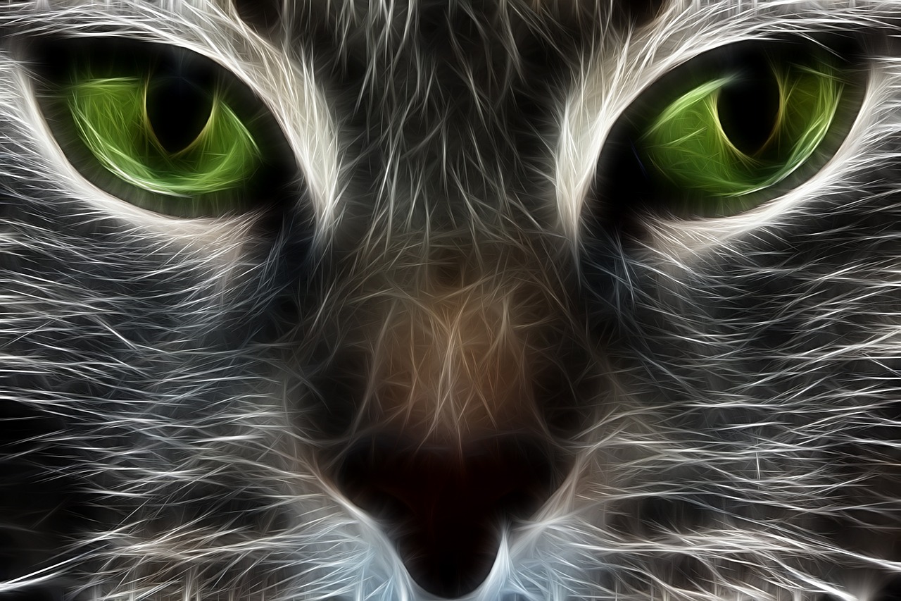 cat fractal animal free photo