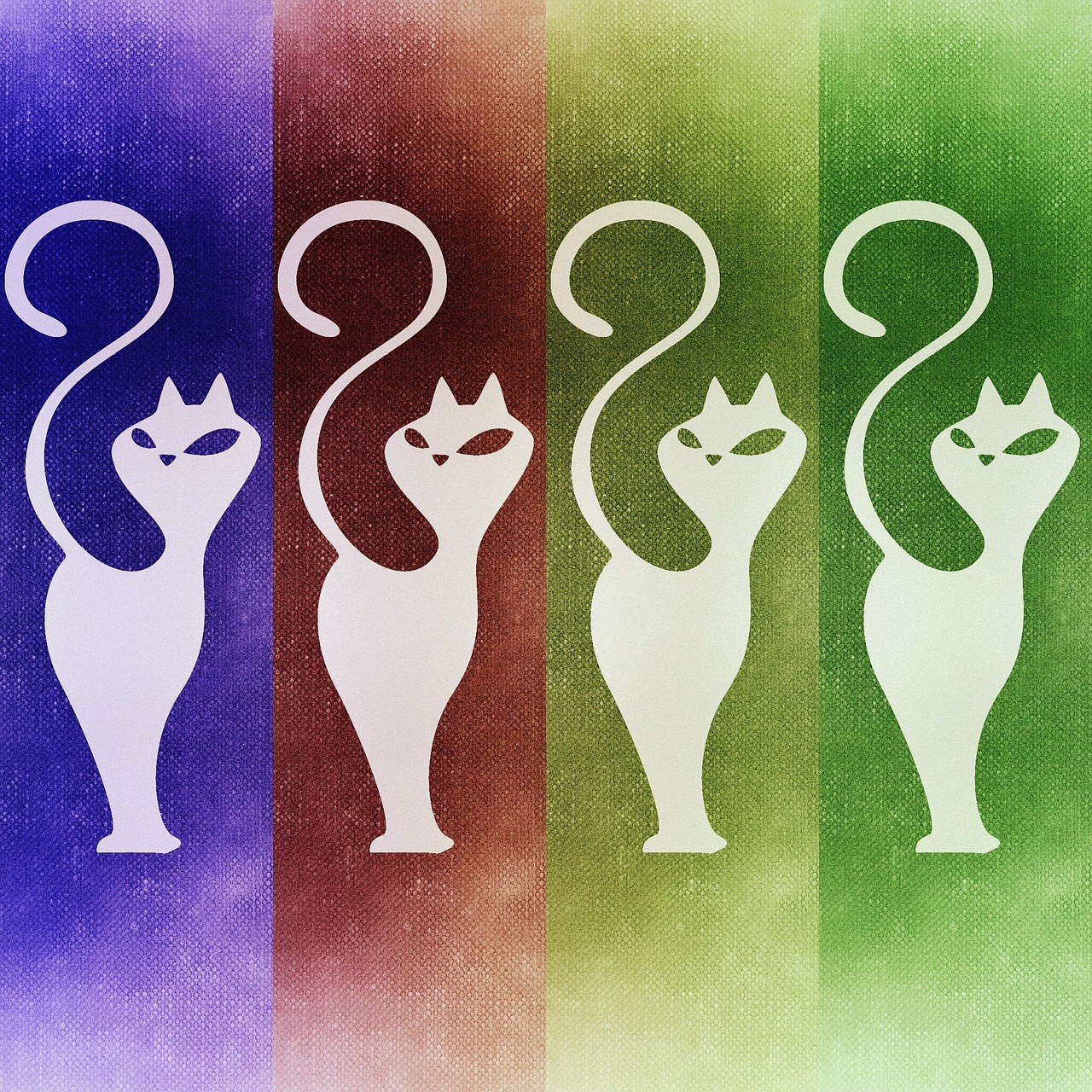 cat abstract background free photo