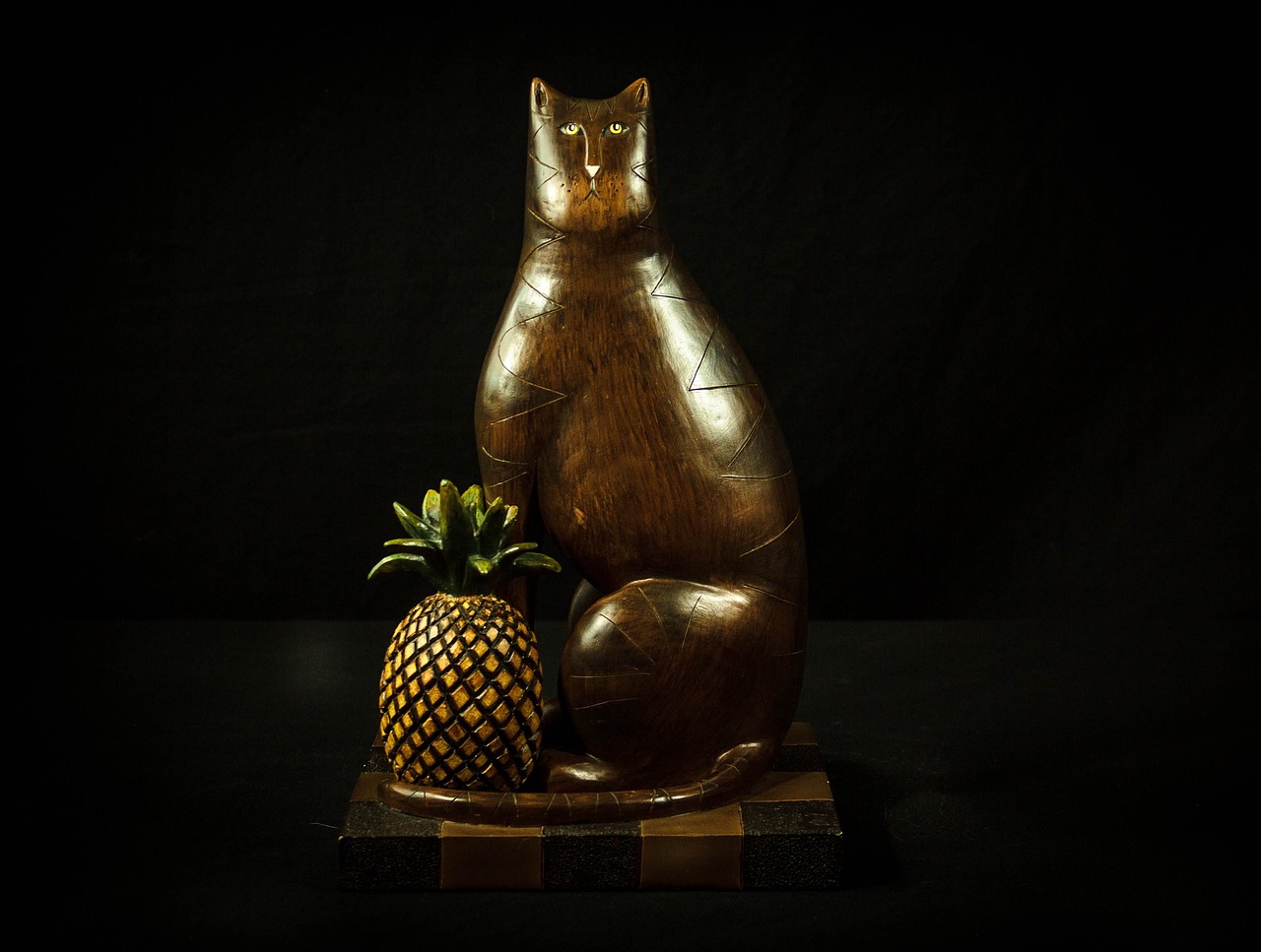 cat pineapple carved wood free photo