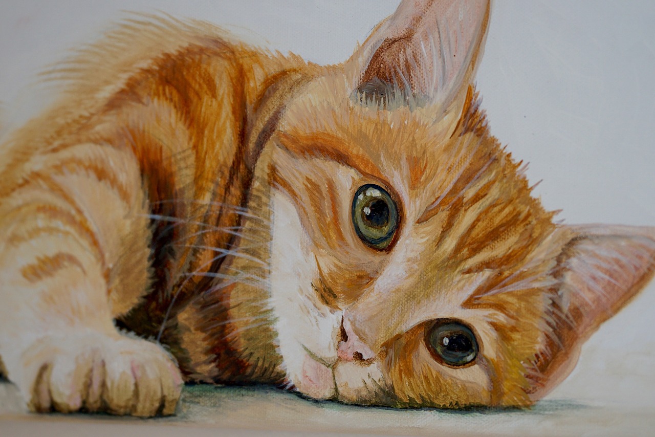 cat sweet painting free photo