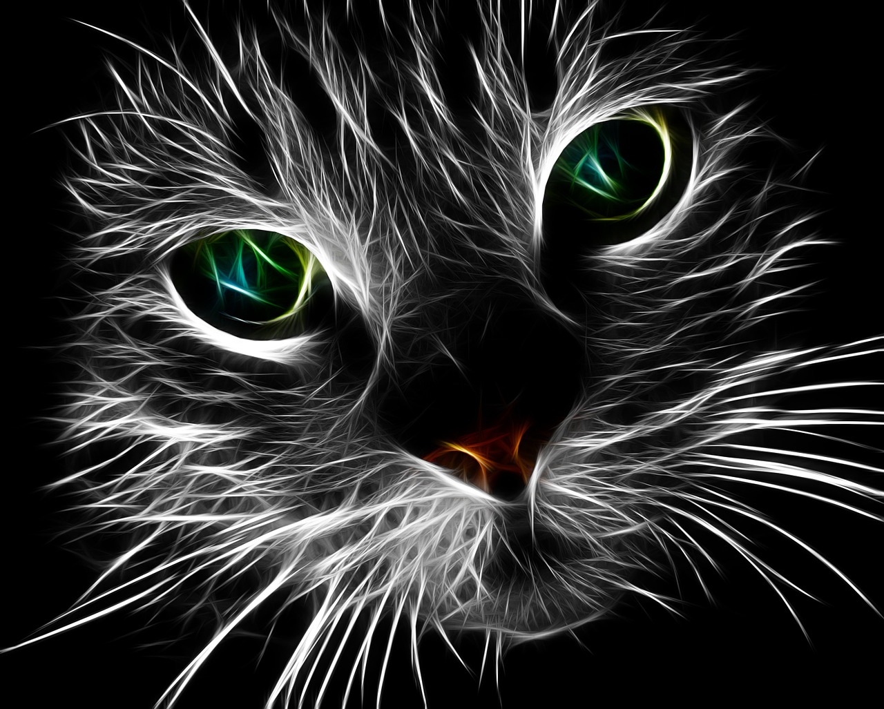 cat feline fractal free photo