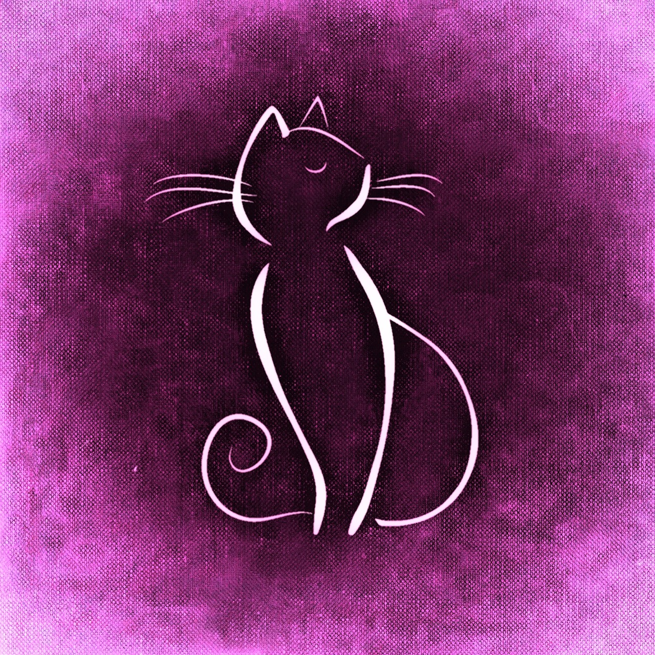 cat drawing animal free photo