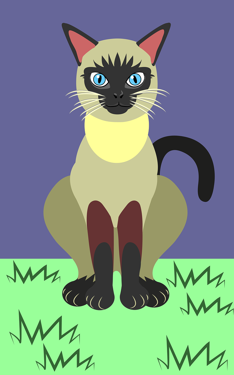 cat vector illustration free photo