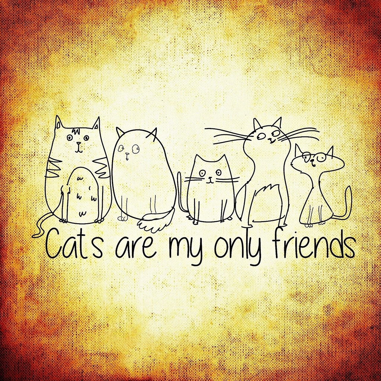 cat friends funny free photo