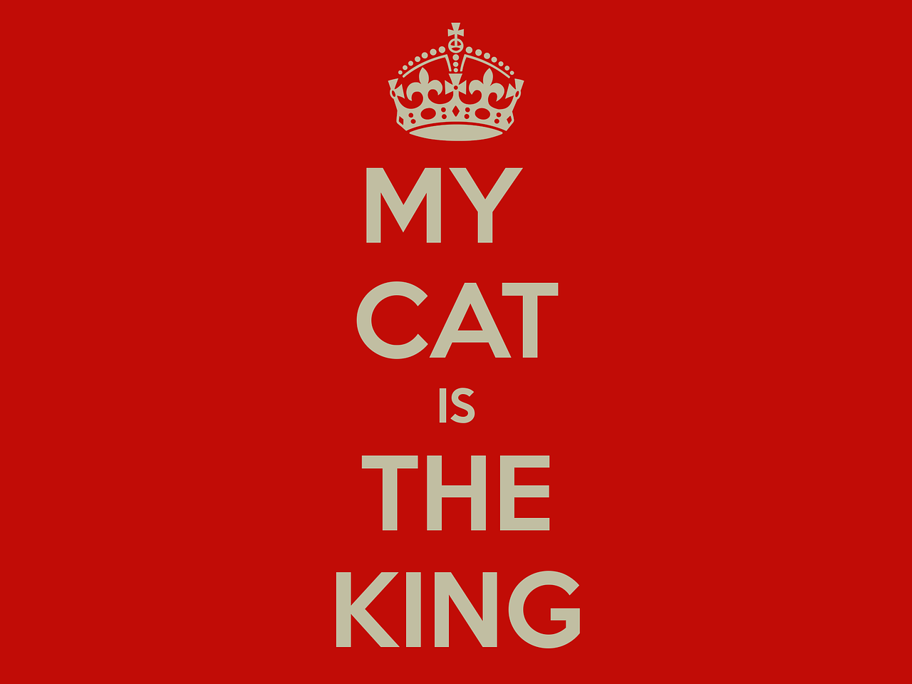 cat king message free photo