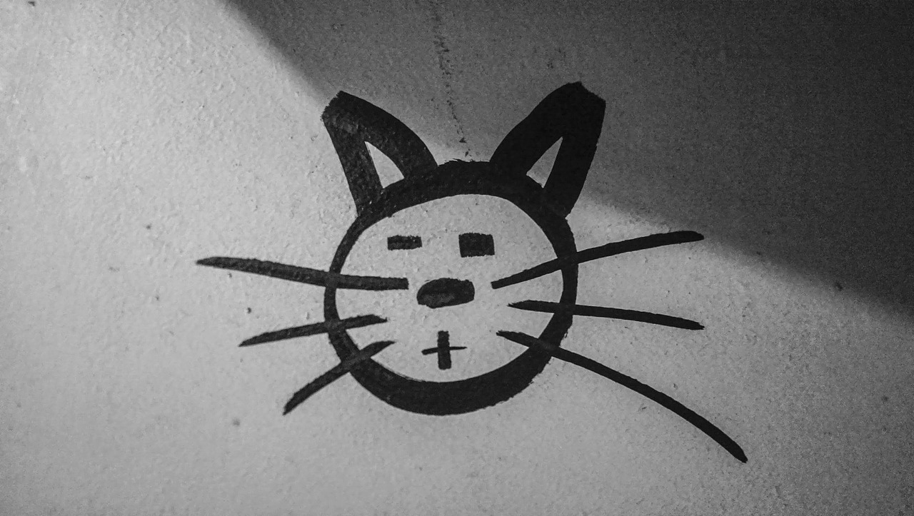 cat graffiti figure free photo