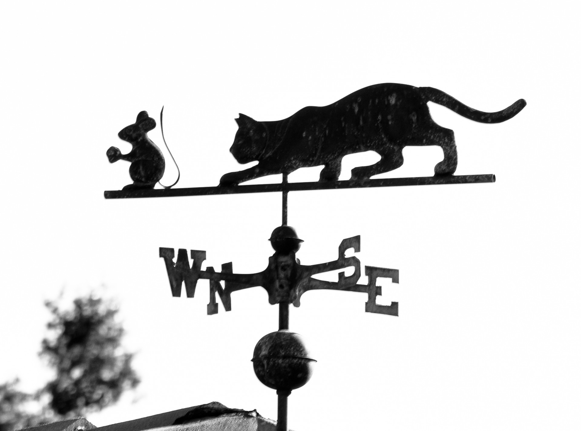 weather vane cat mouse free photo