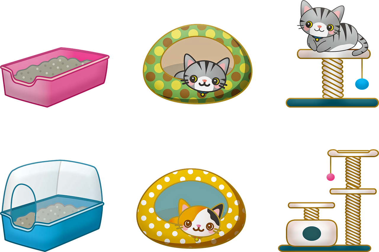 cat bed  cat toy  cat litter free photo