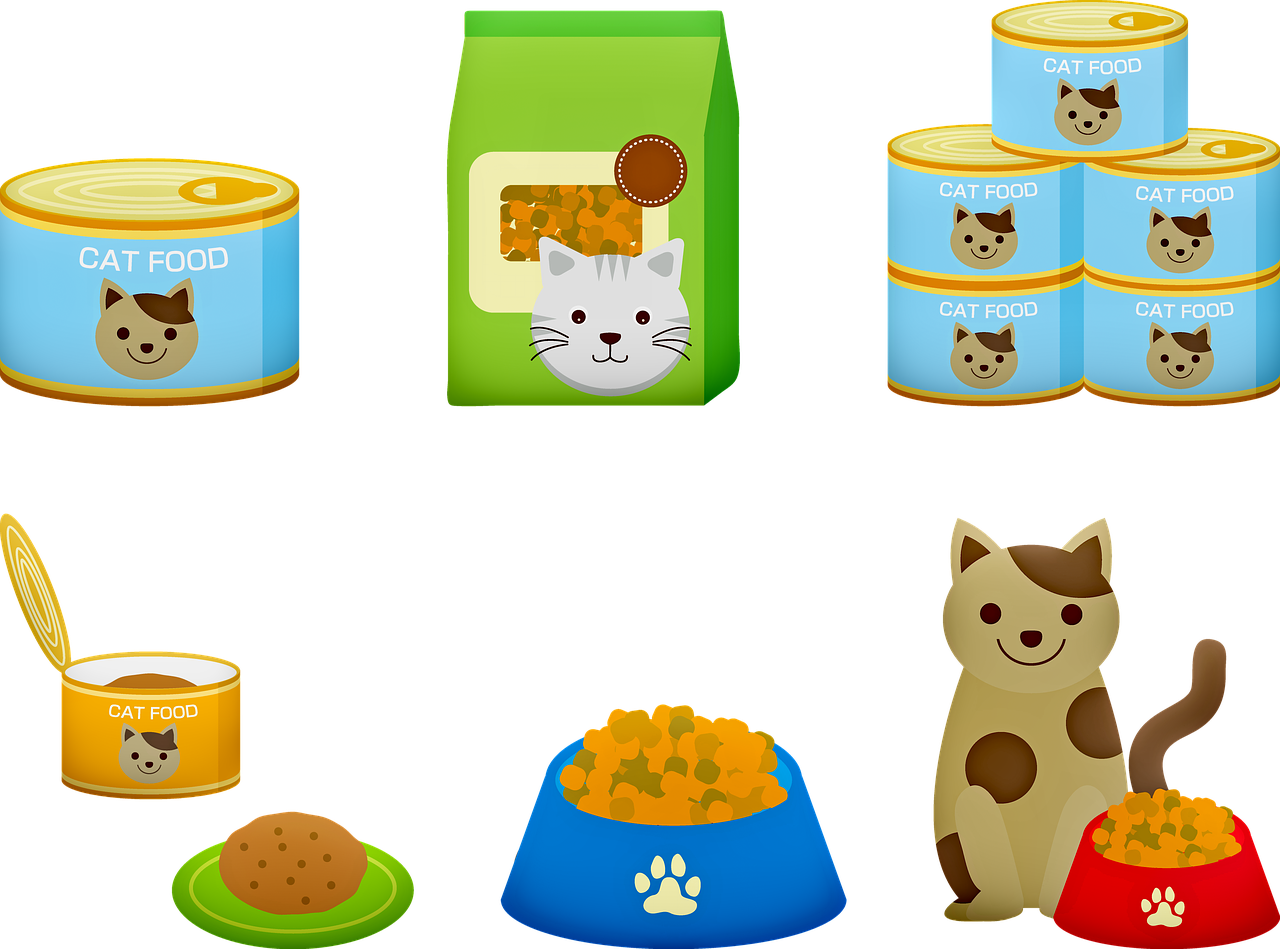 cat food  cat  canned cat food free photo