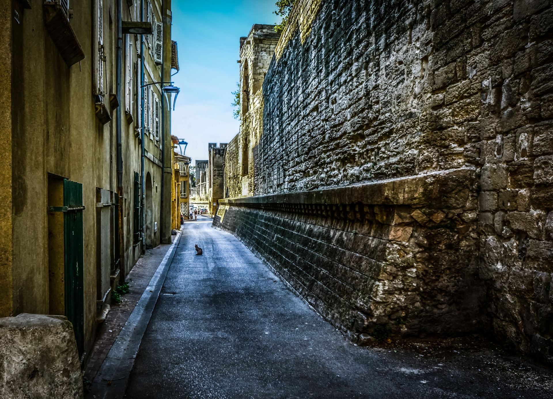 cat alley france free photo