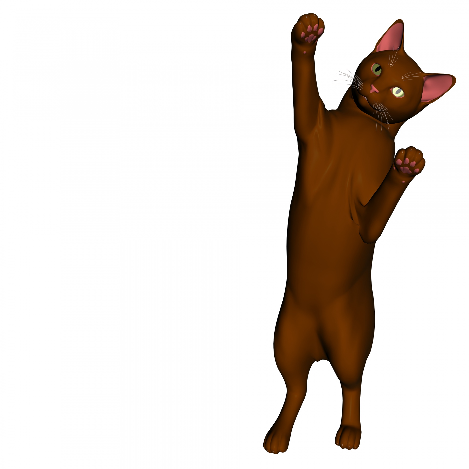3d cat drawing free photo