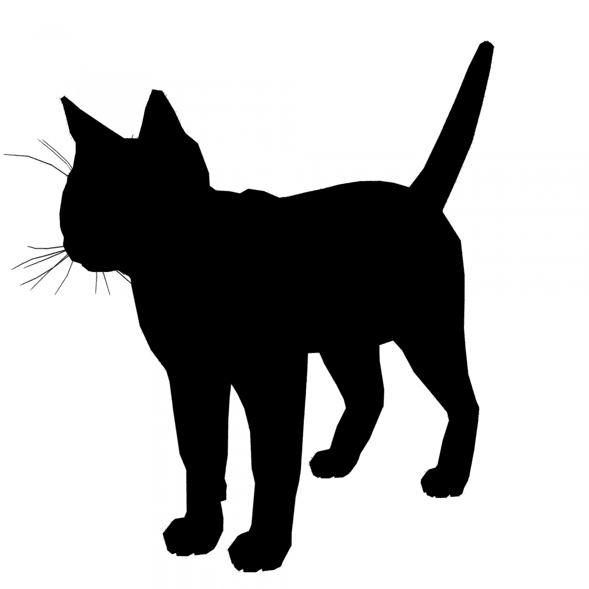black silhouette cat free photo