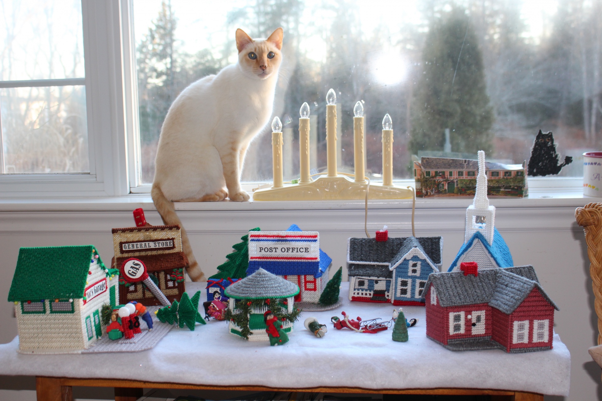cat flame point siamese christmas free photo
