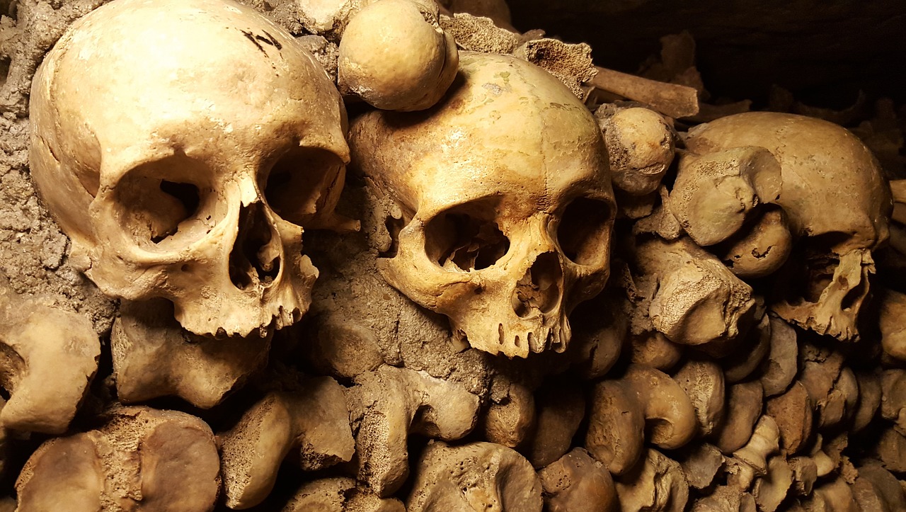 catacombs paris skulls free photo