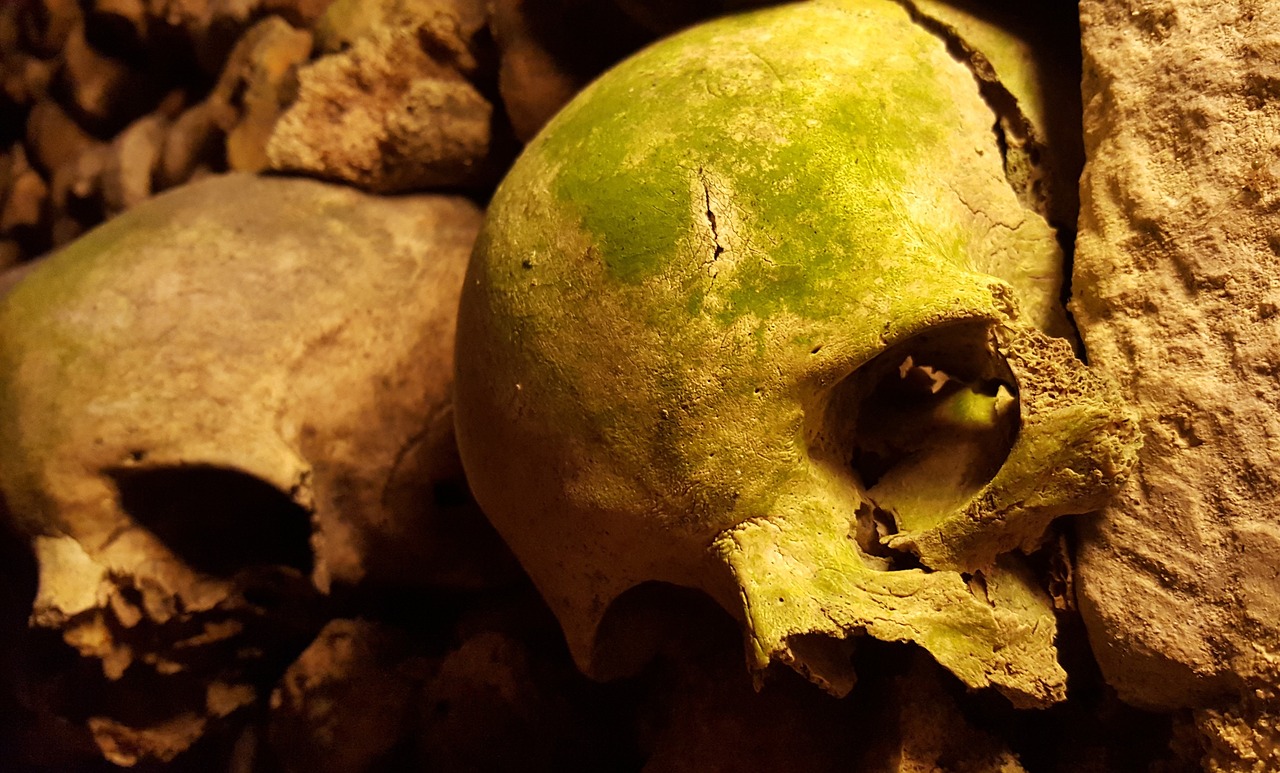 catacombs paris skulls free photo