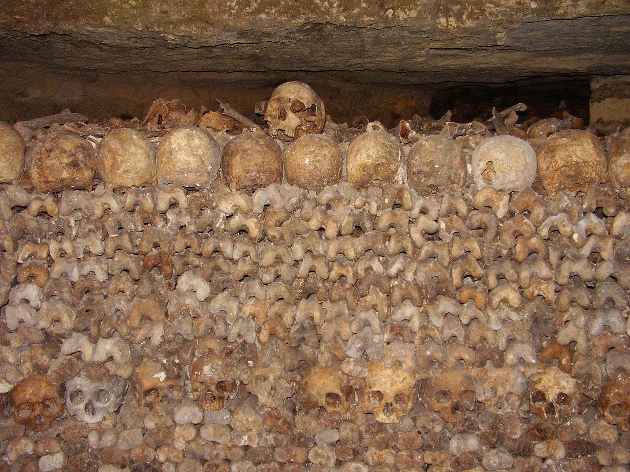 catacombs skulls bone free photo