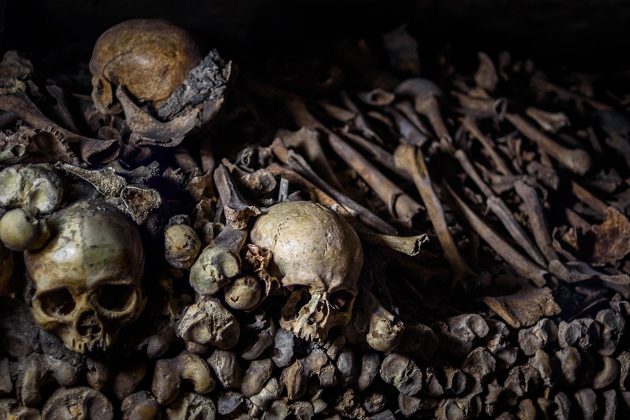 catacombs underground ossuaries paris free photo