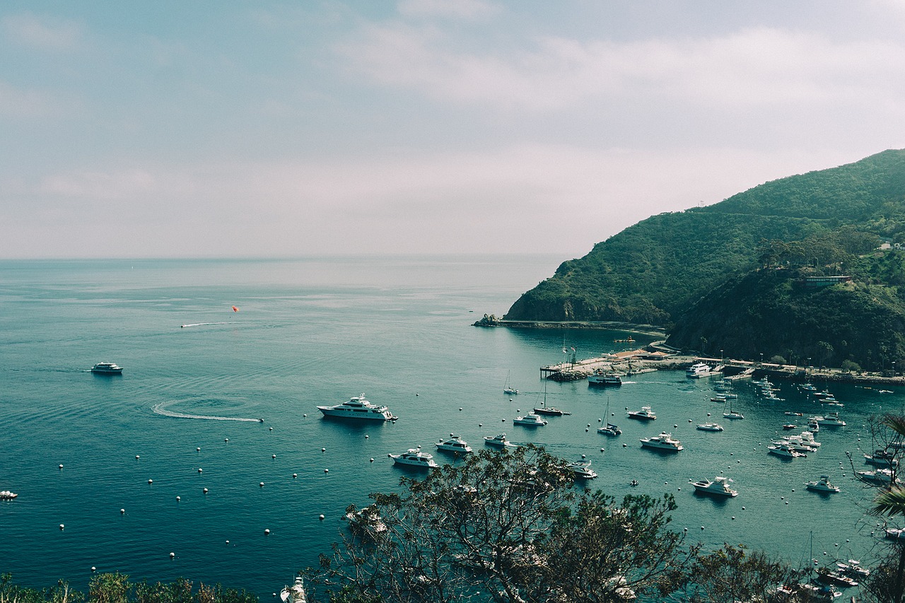 catalina harbor boats free photo