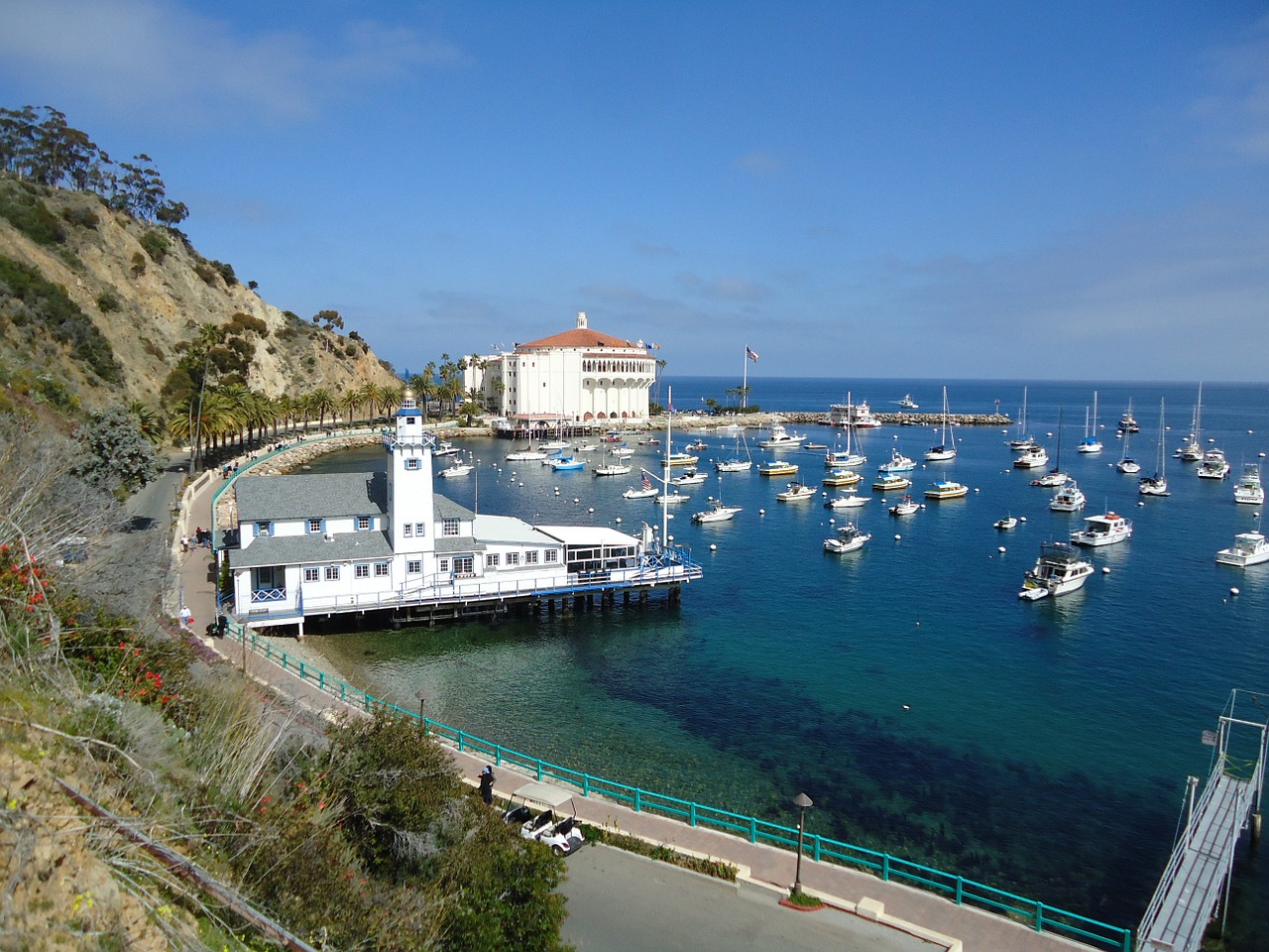 catalina california bay free photo