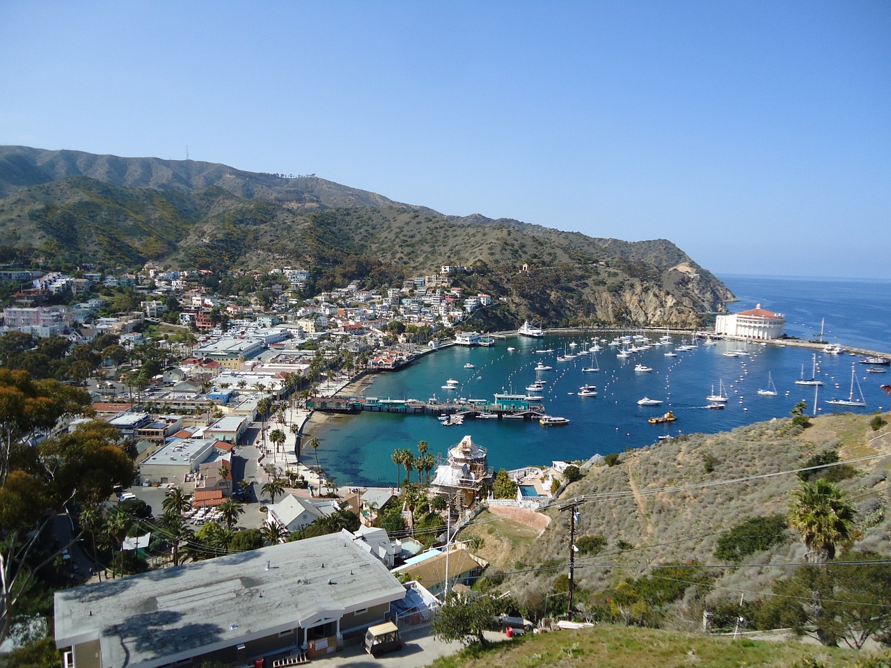 catalina california bay free photo