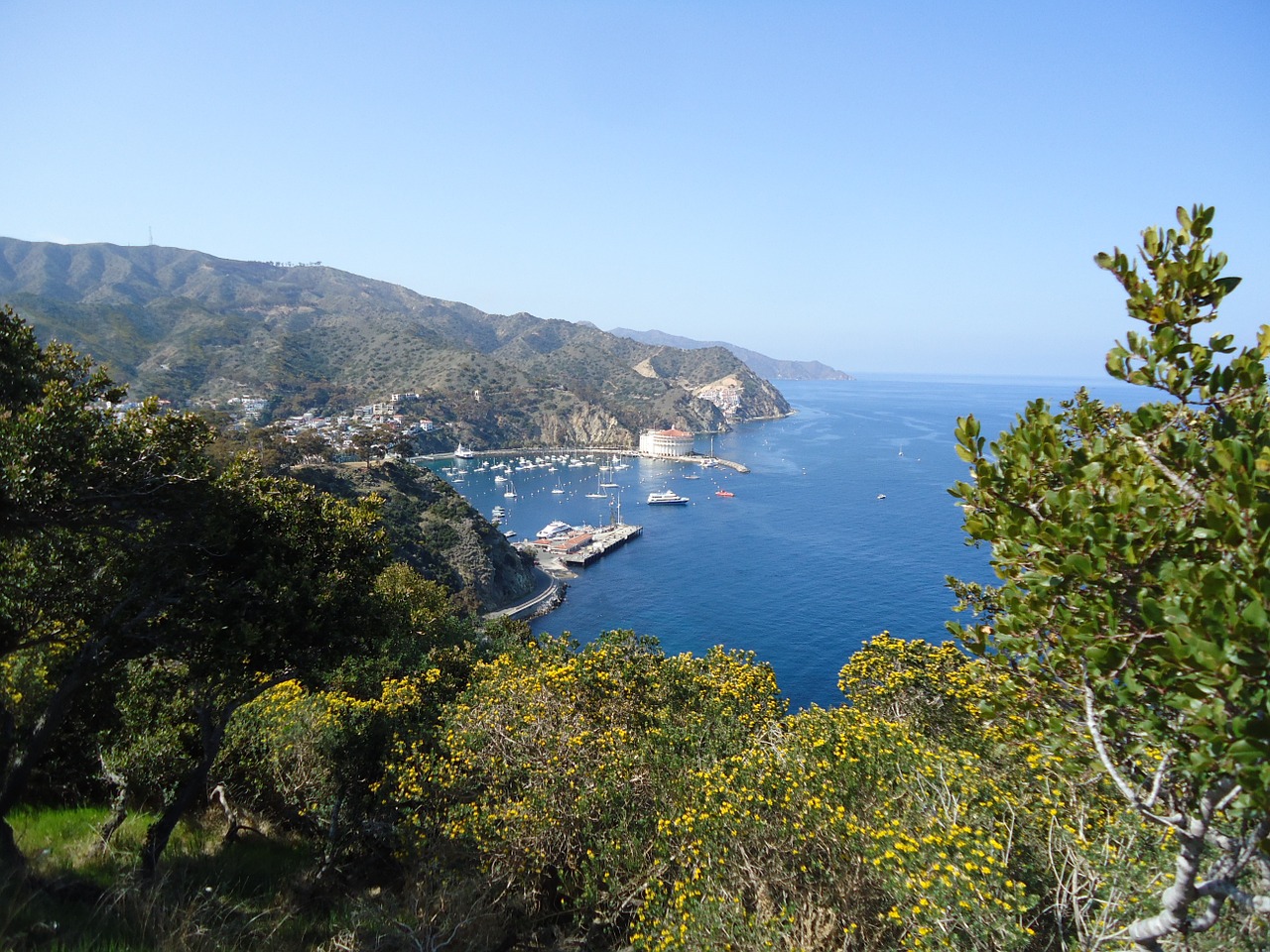 catalina california bay free photo