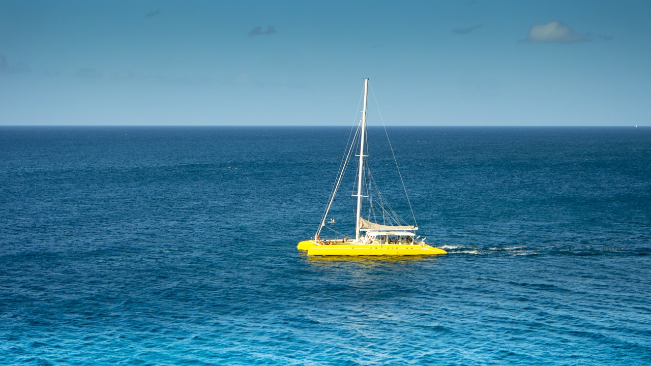 catamaran sea sail free photo