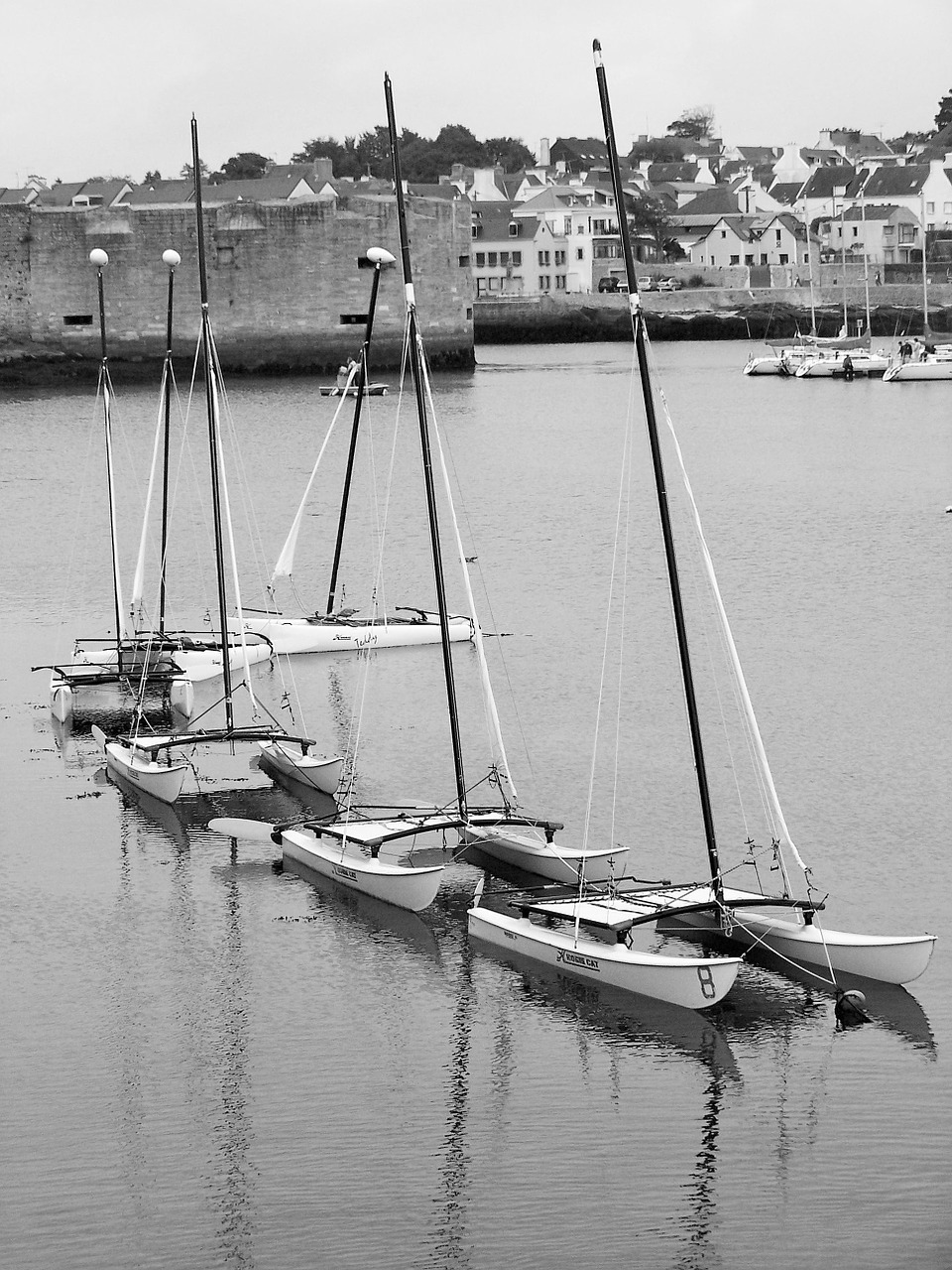 catamaran sailboat mats free photo