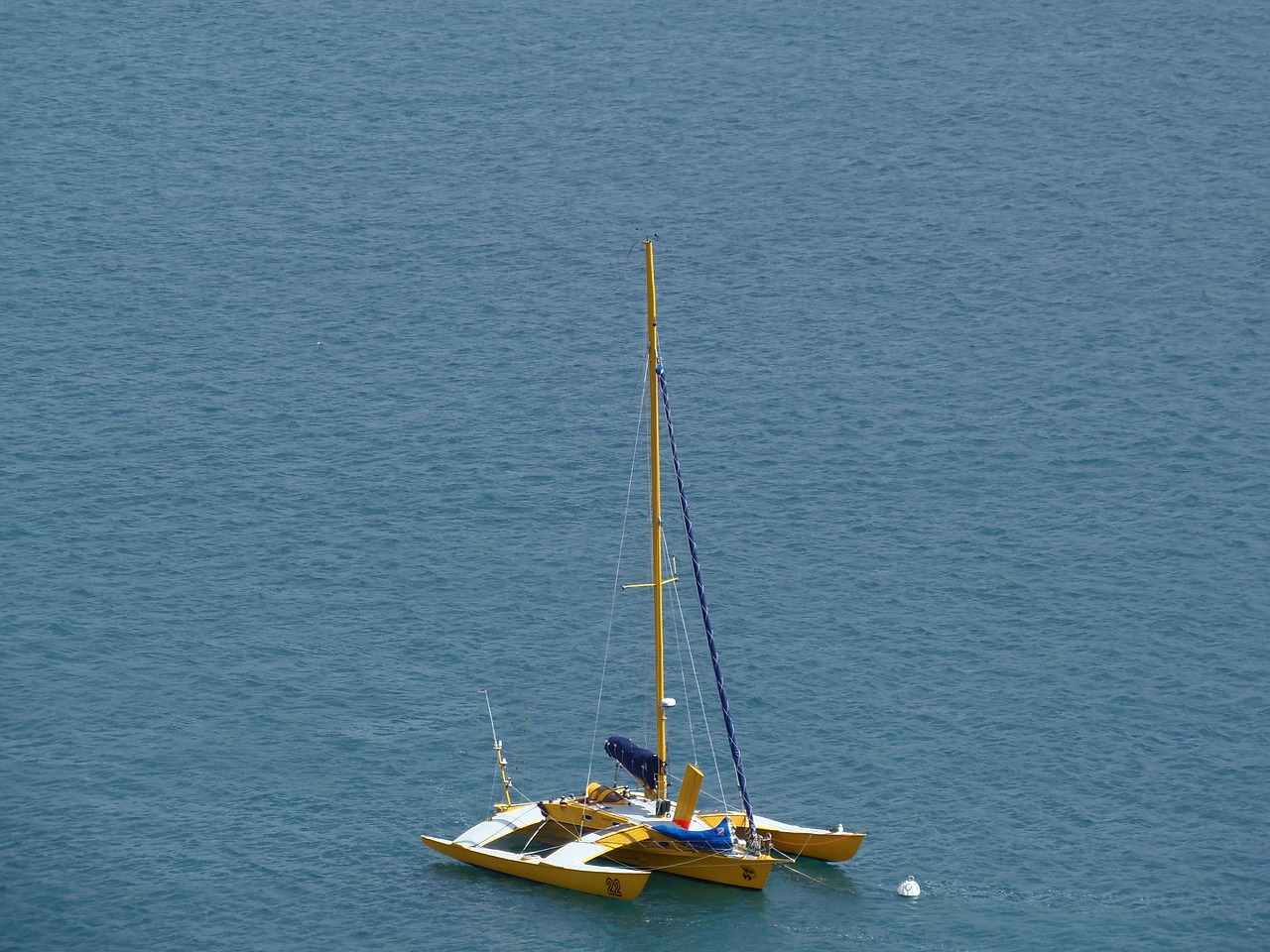 catamaran sailboat ocean free photo