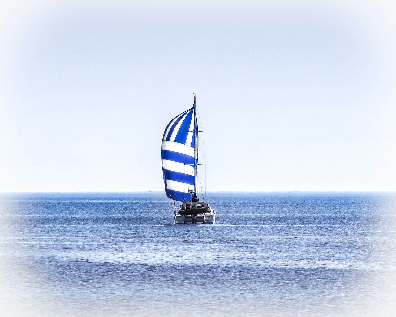 catamaran sailing sailboat free photo
