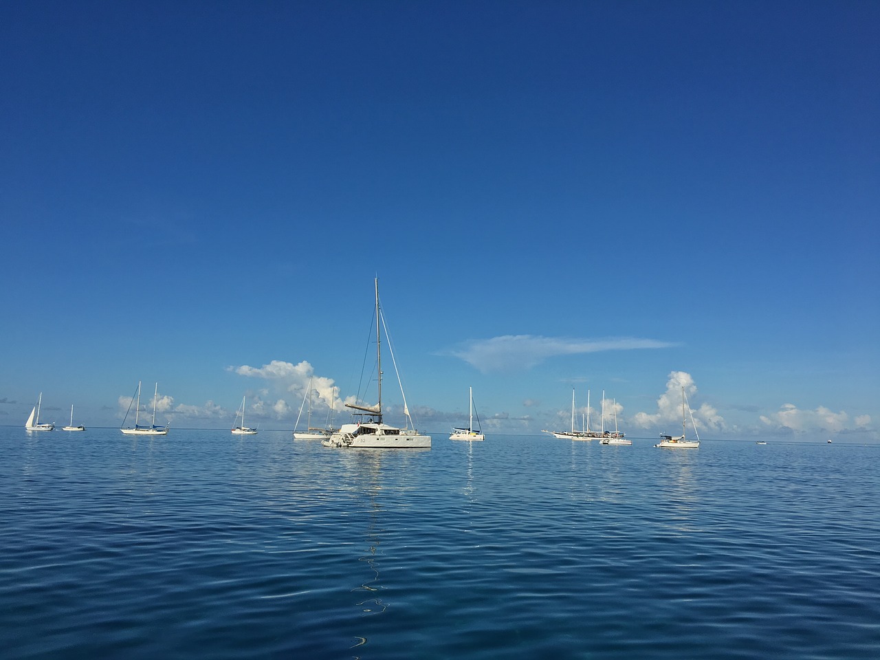 catamaran sea caribbean free photo