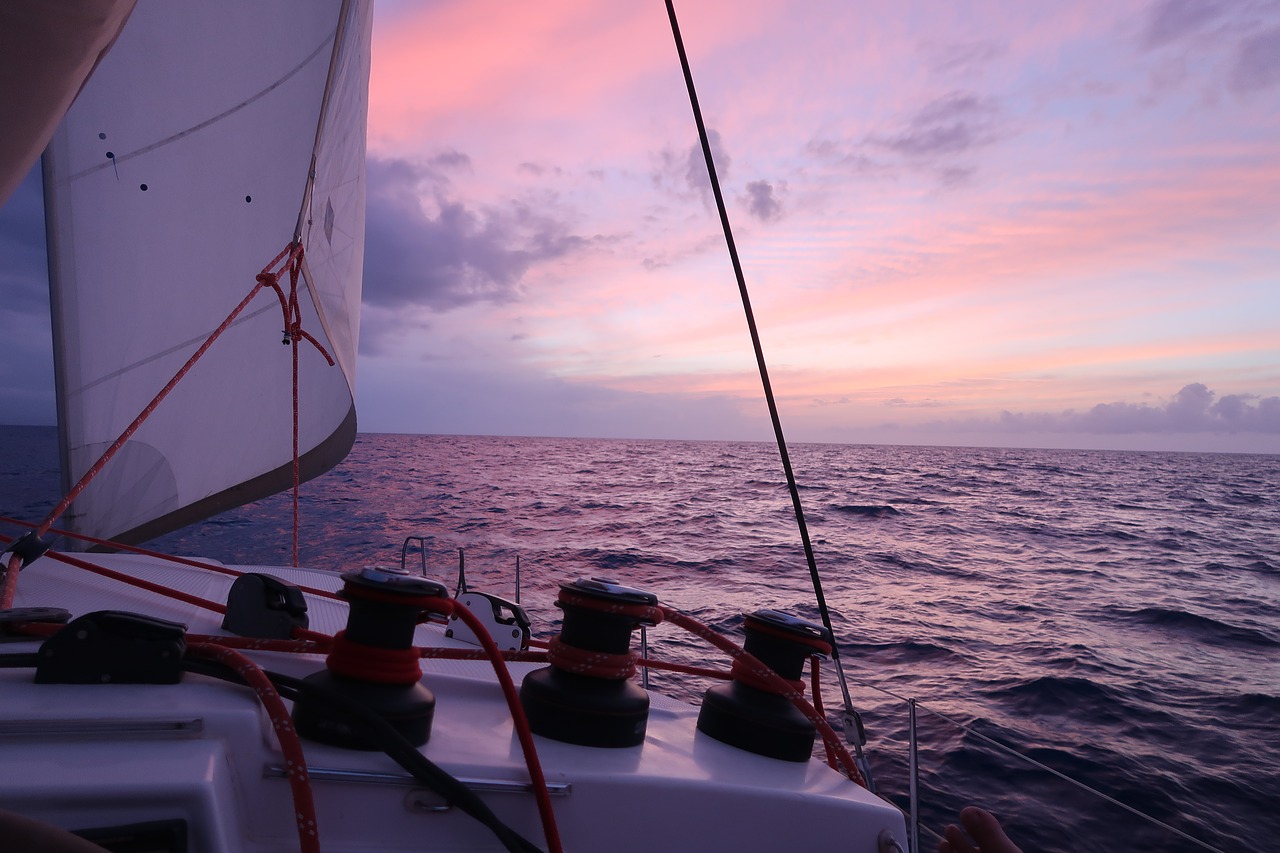 catamaran  sailing  boat free photo