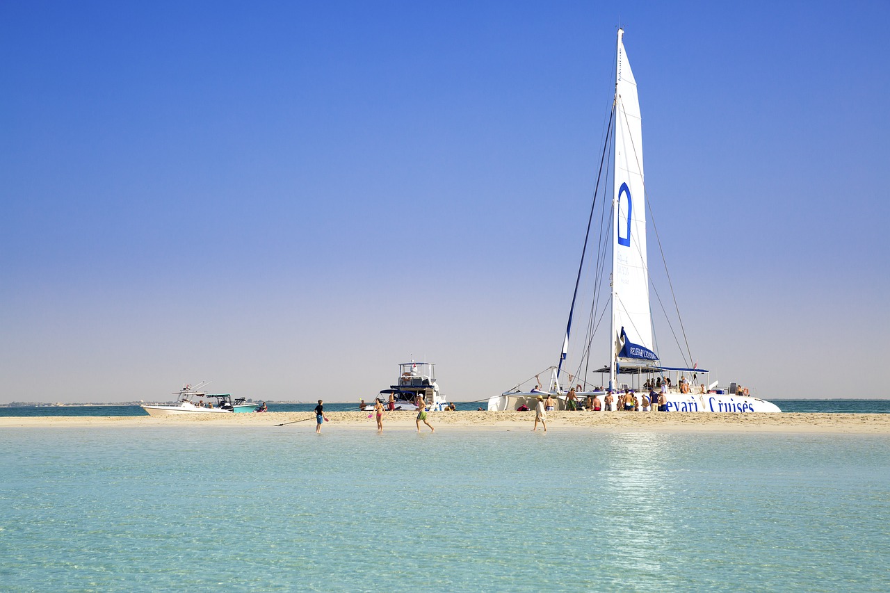 catamaran  sailing boat  beach free photo