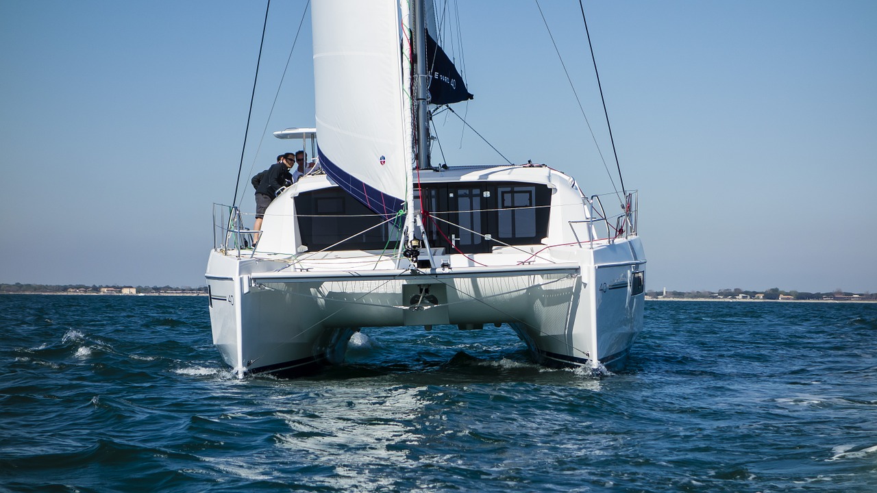 catamaran sail water free photo