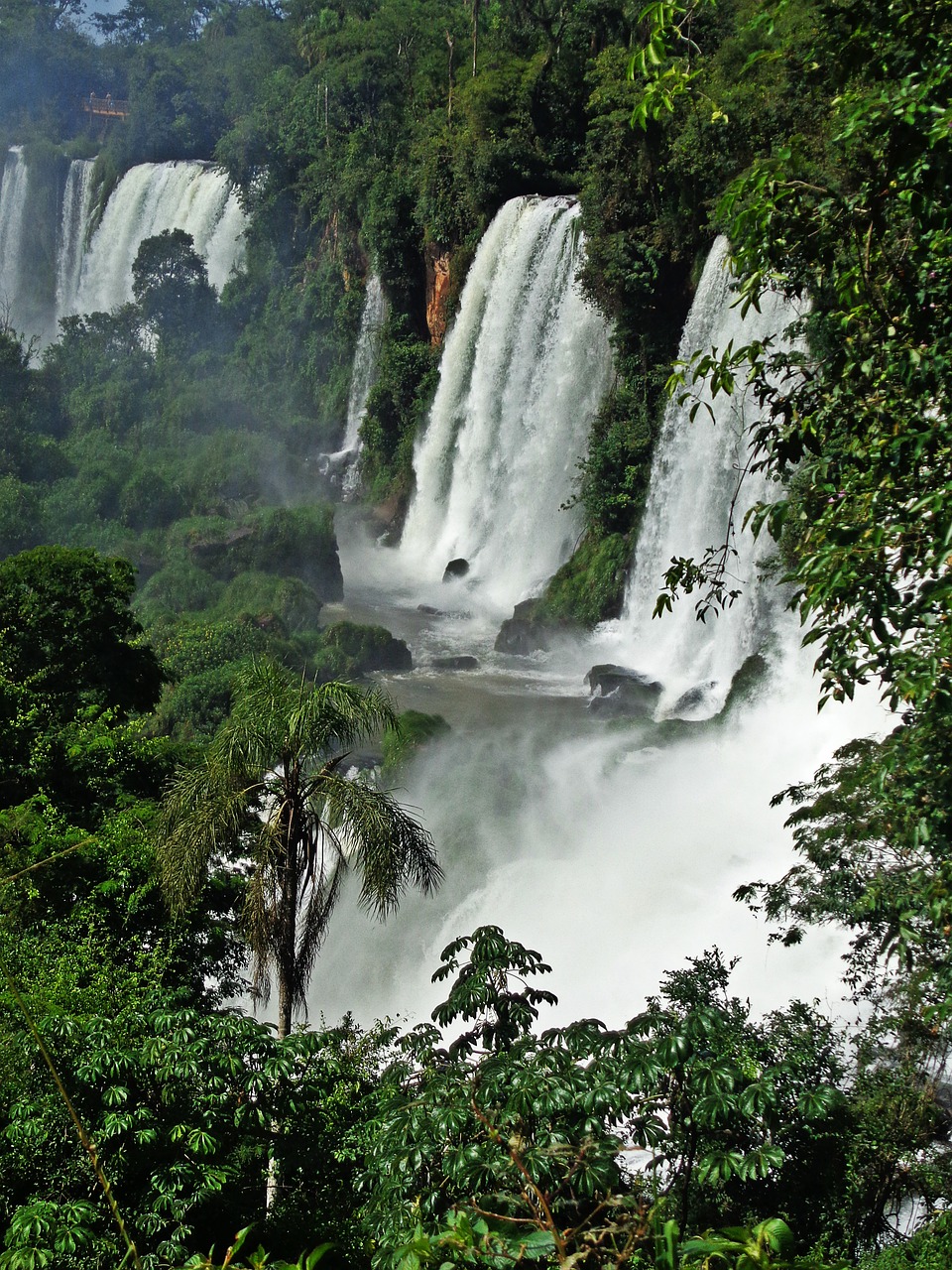 cataratas do iguaçu brazil waterfall free photo