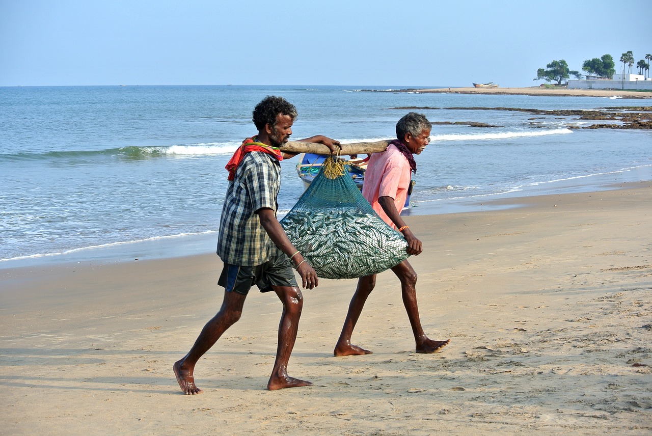 catch fish fishermen free photo