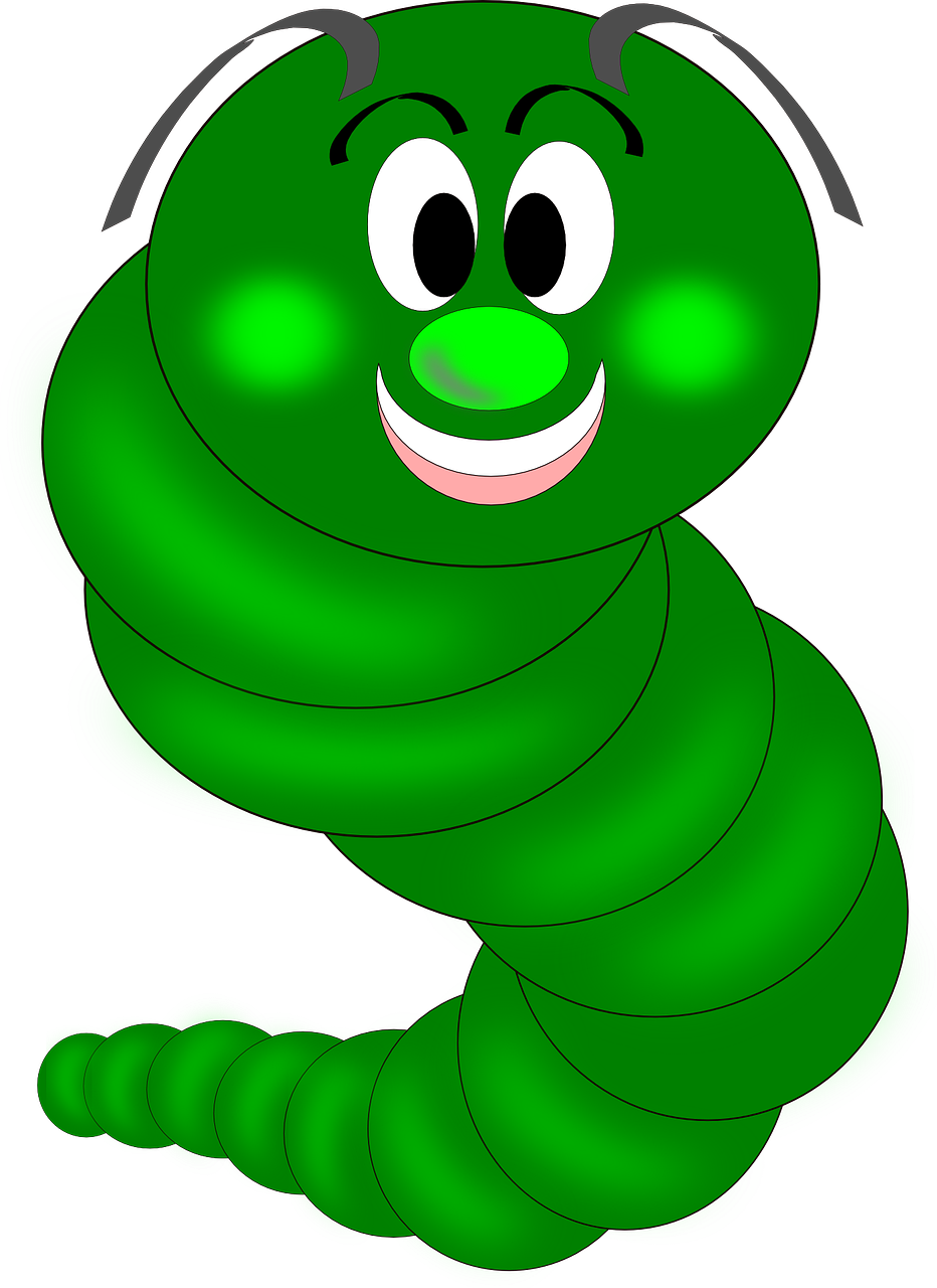 caterpillar worm eruca free photo