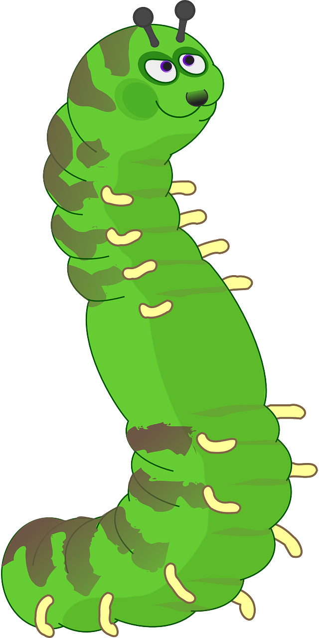 caterpillar green happy free photo