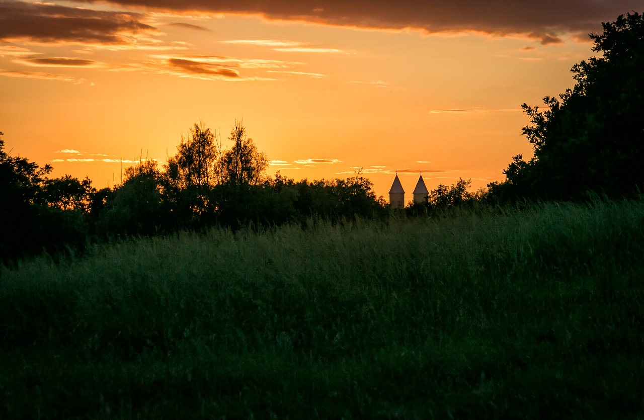 cathedral viborg denmark free photo