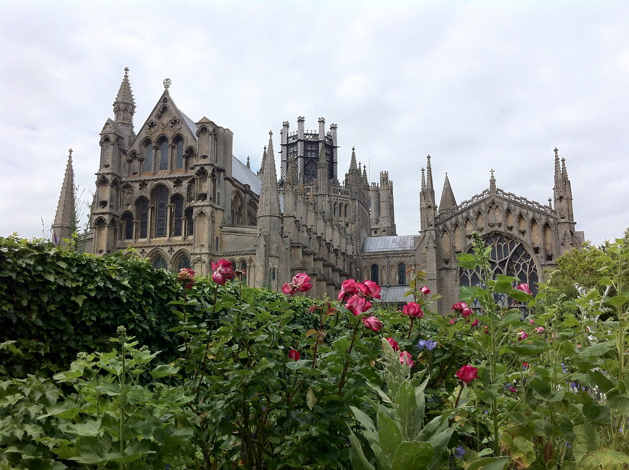 ely uk cathedral garden free photo