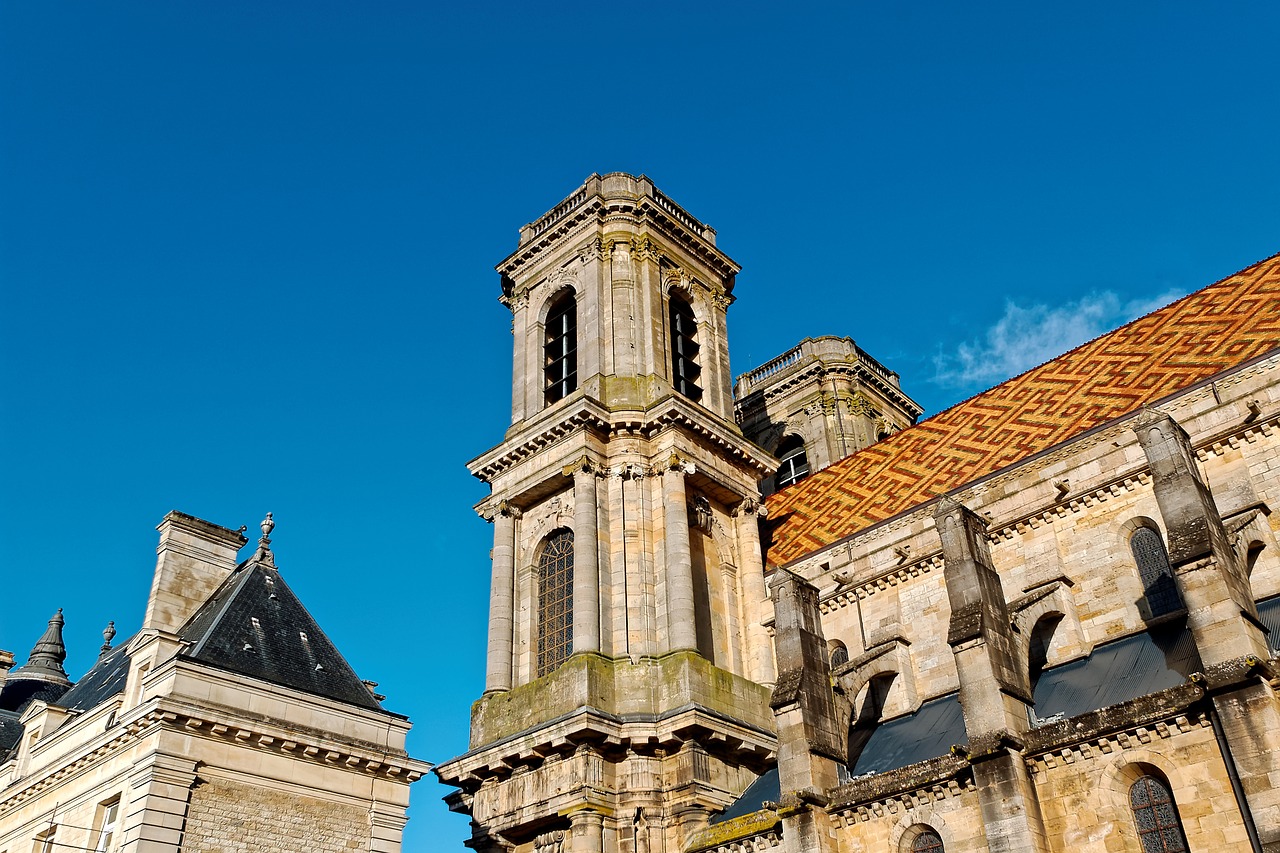 cathedral inside langres free photo